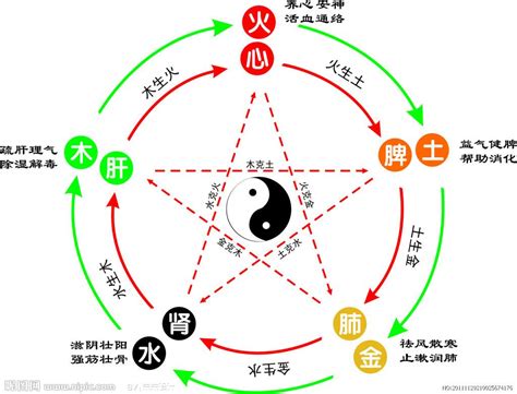 心五行|心字的五行,心的五行属性是什么